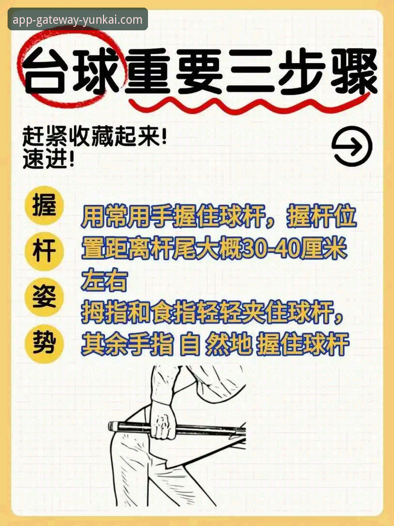 云开体育平台服务选择指南：从新手到高手的完整使用教程