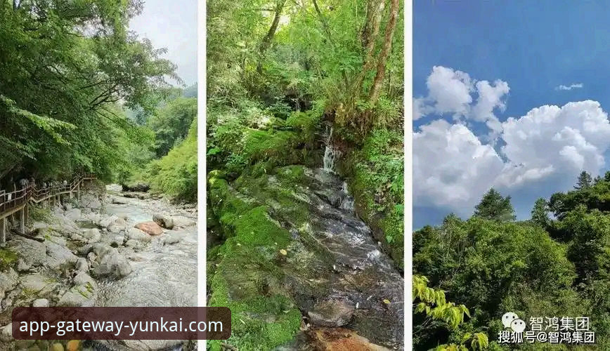 云开登录入口 球星场外“小插曲”背后,体育平台内容生态的真相